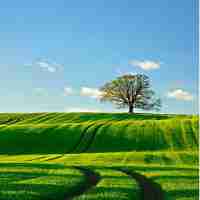 网‍站​收‌录‍有​什‍么‌好‌处‍ntd华﻿网﻿优‌站‍网‌